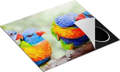 Chefcare Inductie Beschermer Vier Regenboog Lori Vogels op een Tak - 60x50 cm - Afdekplaat Inductie - Kookplaat Beschermer - Inductie Mat