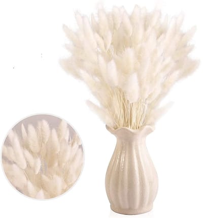 Dailygoody - Gedroogd pampasgras - Natuurlijke droogbloemen - Decoratie voor interieur - Wit - Kunstboeket - Geschikt voor bruiloften - 30 stuks