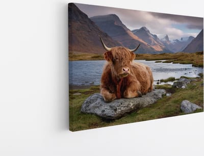 Saammp Canvas Schilderij - Schotse Hooglander Koe op steen - Natuur - Dieren - 45x30 - Foto op canvas - Wanddecoratie - Muurdecoratie Woonkamer - Slaapkamer decoratie - Canvas Print