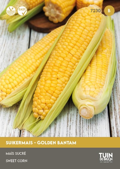 Suikermais Zaden Golden Bantam – Zoete Mais om Zelf te Kweken – Groentezaden voor Moestuin – ±12 Zaden - Tuin de Bruijn® zaden