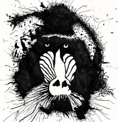 Feral Ohms - Feral Ohms (CD)