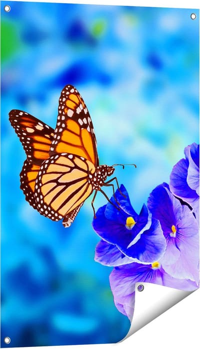 Gards Tuinposter Oranje Vlinder bij Paarse Bloemen - 60x90 cm - Tuindoek - Tuindecoratie - Wanddecoratie buiten - Tuinschilderij