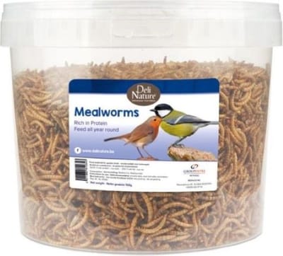 Meelwormen - meelwormen emmer 700 gram deli nature - kippensnack - kippen meelwormen - kippen snack - gevriesdroogde meelwormen - buitenvoeding vogels