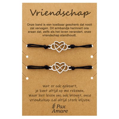 Vriendschapsarmbandjes voor 2 "Vriendschap" - Hartje in Oneindigheidsteken - BFF Armbandjes met Cadeau Kaartje - Zilverkleurig - Elastisch Verstelbaar - Pax Amare