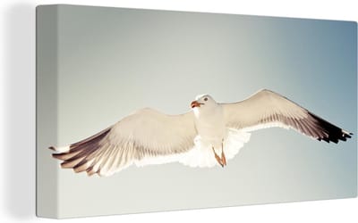 Grote wanddecoratie - Zeemeeuw in vlucht Canvas - 200x100 cm - XXL decoratie