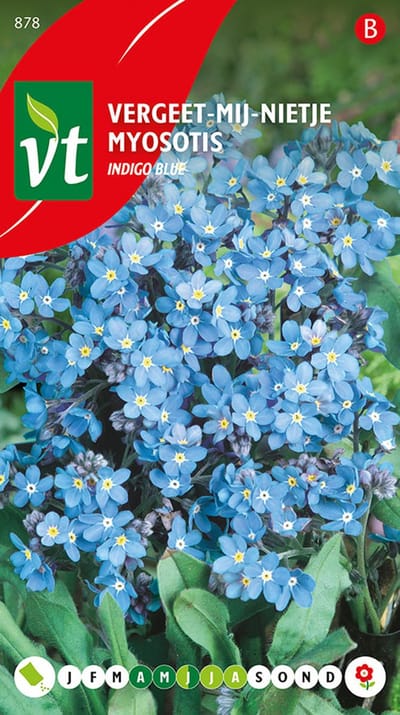 Vergeet-Mij-Nietje 'Indigo Blue' - Tapijtvormende Lentebloeier