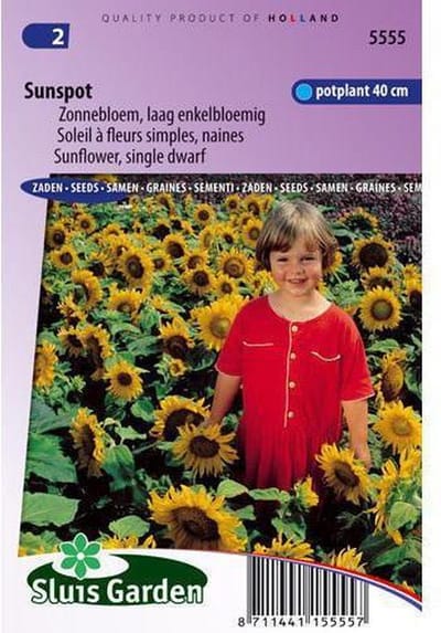 Sluis Garden - Zonnebloem Sunspot, laag (Helianthus)