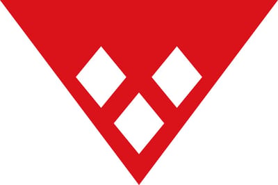 Vlag Rijkevorsel 150x225cm