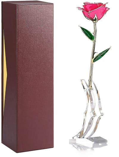 Dailygoods- Vergulde Roos 24K - Echte Roos met Hars - Uniek Geschenk - Voor Huwelijksverjaardag - Roze Roos met Basis - Eeuwige Liefde - Gouden Roos