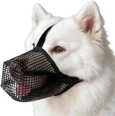 Muilkorf voor grote en middelgrote honden, ademend en verstelbaar, ideaal voor training en bescherming tegen bijten en kauwen, comfortabel voor dagelijks gebruik