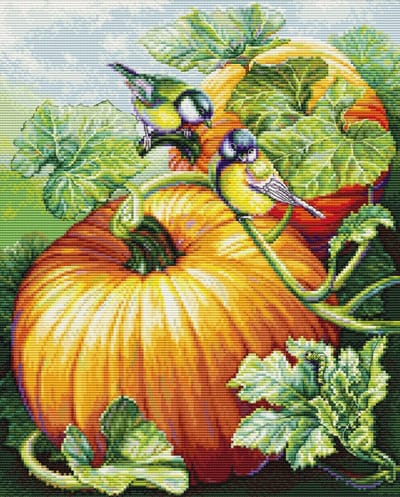 Borduurpakket Luca-S - Birdies On Pumpkin - Vogeltjes op Pompoen - BU5094