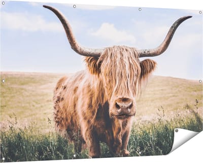 Gards Tuinposter Schotse Hooglander Koe in de Wei - 150x100 cm - Tuindoek - Tuindecoratie - Wanddecoratie buiten - Tuinschilderij