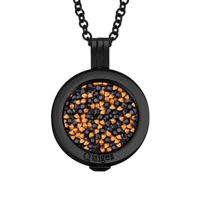 Quiges - Munthouder met Ketting en Munt 25mm Zirkonia Zwart/Goudkleurig - RVS Zwart - EPRHZ2402