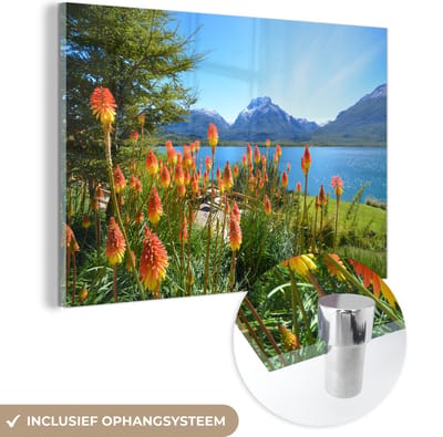 ® Glasschilderij 180x120 cm - Schilderij acrylglas - Bloemen voor het Mascardi meer bij het Nationale Park van Nahuel Huapi in Argentinië - Foto op glas - Muurdecoratie woonkamer - Wanddecoratie slaapkamer - Schilderijen