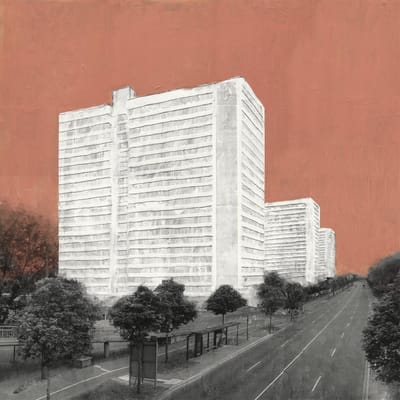 Carpet - About Rooms And Elephants (LP)