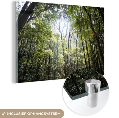 MuchoWow® Glasschilderij 60x40 cm - Schilderij acrylglas - De zon schijnt door een opening in het Regenwoud in Thailand - Foto op glas - Schilderijen