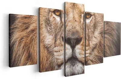 Artaza Canvas Schilderij Vijfluik Leeuw - Leeuwenkop - Kleur - 100x50 cm - Wanddecoratie Woonkamer - Schilderijen - Muurdecoratie