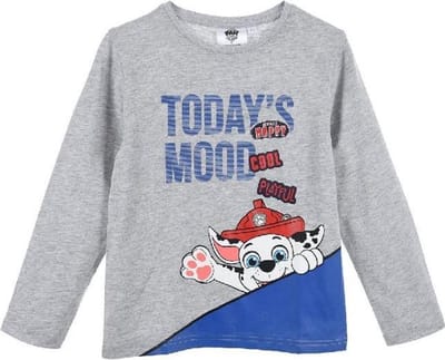 Longsleeve shirt PAW Patrol - Marshall - jongens - maat 104