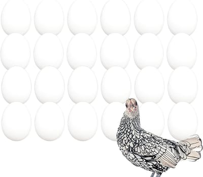 Valse Kippeneieren Massief voor Kippen en Vogels - Legstimulans en Eiereten Voorkomen