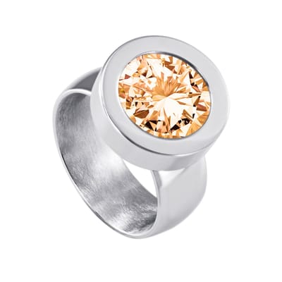 Quiges RVS Schroefsysteem Ring Zilverkleurig Mat 17mm met Verwisselbare 12mm Mini Munt - SLSRS44917