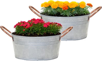 Mega Collections Teil/plantenpot/bloempot Jean - 2x - zink - zilver - D27 X H13 cm