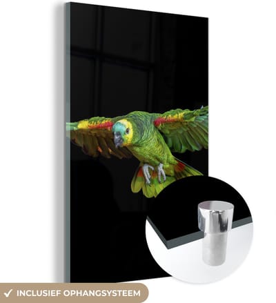 MuchoWow® Glasschilderij 120x180 cm - Schilderij acrylglas - Papegaai - Vogel - Veren - Foto op glas - Schilderijen