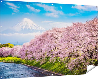Gards Tuinposter Roze Bloesembomen bij de Fuji Berg - 180x120 cm - Tuindoek - Tuindecoratie - Wanddecoratie buiten - Tuinschilderij