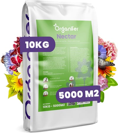 Vlinderbloemen en Bijenmengsel - 40 soorten (10kg, 5000m2) - Veldbloemen - Bloemenzaad Vlinders - Bloemen - Bloemzaden - Bloemenzaad Voor Bijen - Veldbloemen Zaad - Vlinderbloemen - Nectar - Organifer