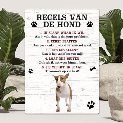 Spreuken - Bull Terriër Miniatuur - Regels Van De Hond - Spreuken Bordjes - Spreukenbord - Tekstborden - Cadeau - Hondenras