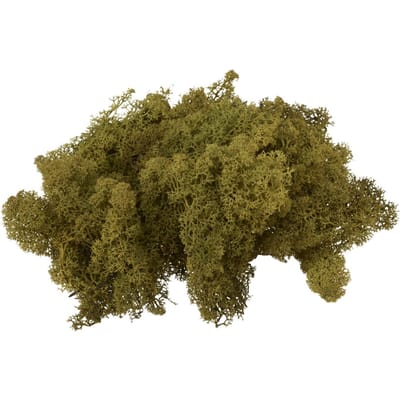 VBS Ijsland mos, 100 g - Groen