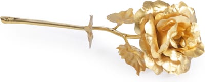 Xaptovi Gouden roos 24k - Vaderdag cadeau - Origineel cadeau - in kado verpakking