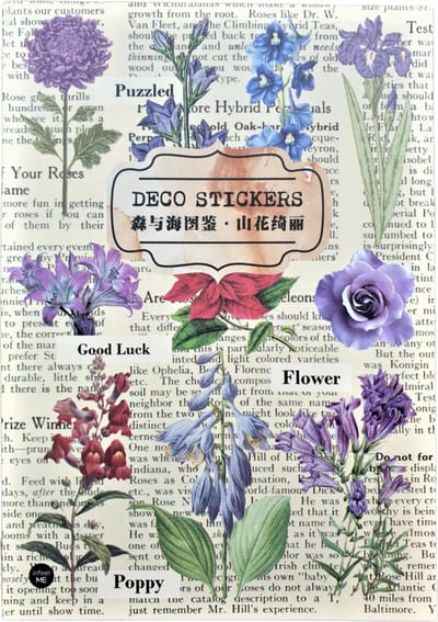 Stickerboek Deco Stickers 5 - Meer Leuks - Stickers voor o.a. bulletjournal, scrapbooking en kaarten maken