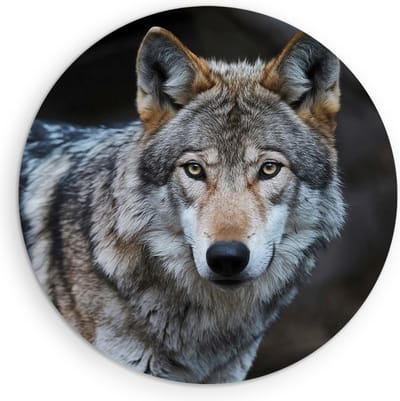 Saammp Muurcirkel Hout - Wolf - Portret - Dieren - Natuur - Ø 90 - Wandcirkel - Wanddecoratie Cirkel - muurdecoratie Woonkamer - Slaapkamer decoratie - Rond Schilderij