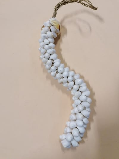 schelpenhanger schelpen decoratie schelpenketting schelpen ketting schelpenvlecht