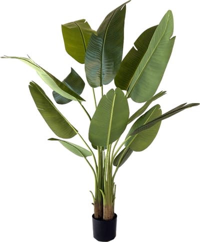 NeverLeafs Kunstplant Strelitzia 150 cm met real touch