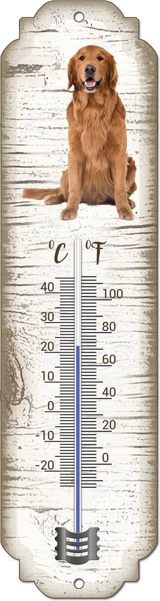 Thermometer: Golden Retriever | Hondenras | Temperatuur binnen en buiten | -25 tot +45C
