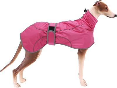 Warme Hondenwinterjas met Fleece Voering, Verstelbare Buitenjas voor Middelgrote en Grote Honden, Ideaal voor Koude Weersomstandigheden en Activiteiten
