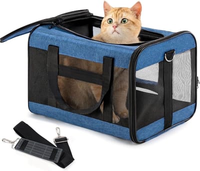 Zachte Reiskat Box met Verstelbare Binnenriem voor Kleine tot Middelgrote Katten en Puppies tot 7 kg, Vouwbare Transporttas in Blauw, Ideaal voor Reizen en Dierenvervoer