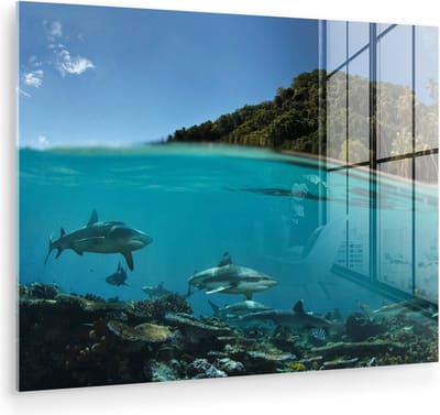 MuchoWow® Glasschilderij 160x120 cm - Schilderij acrylglas - Koraal - Haaien - Zee - Foto op glas - Muurdecoratie woonkamer - Wanddecoratie slaapkamer - Schilderijen