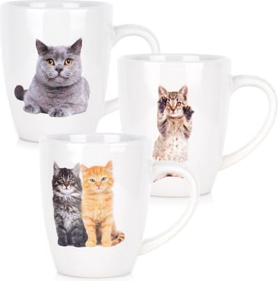 Mokken Keramiek 220 ml 3 stuks - Set - Bekers - Koffiebekers - Kopjes - Koffiemok