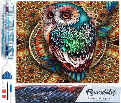 Figured'Art Diamond Painting set Volwassenen 40x50 cm Fantastische uil - 5D DIY Art full drill vierkante diamant - Opgerold canvas