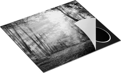 Chefcare Inductie Beschermer Herfstbos met Zonneschijn - Zwart Wit - 60x50 cm - Afdekplaat Inductie - Kookplaat Beschermer - Inductie Mat