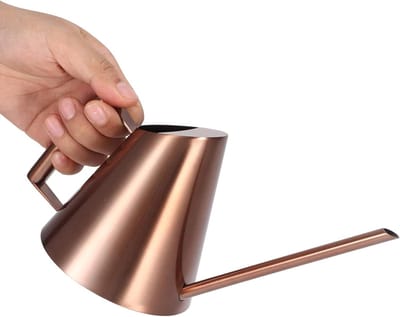 Dailygoods- Gieter 400ml - Roestvrij Staal - Lang Mondstuk - Ergonomisch Handvat - Duurzaam - Voor Binnen Planten - Waterkan