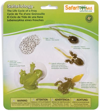 Speelfiguren Levenscyclus Kikker - Safari Ltd 5 stuks