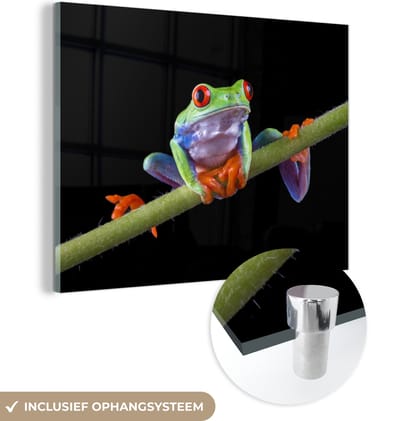 MuchoWow® Glasschilderij 160x120 cm - Schilderij acrylglas - Kikker - Plant - Zwart - Foto op glas - Schilderijen