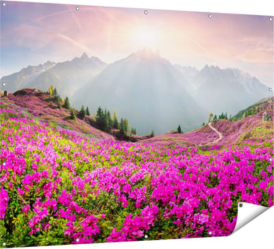 Gards Tuinposter Rhododendron Bloemenveld in de Alpen - 160x120 cm - Tuindoek - Tuindecoratie - Wanddecoratie buiten - Tuinschilderij