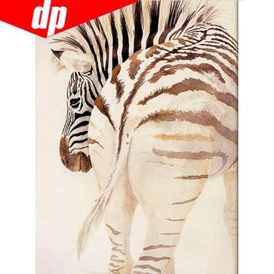 Volledige DIY Diamond Zebra handgemaakte diamant schilderij borduurpakketten diamant borduurwerk patronen 20X30