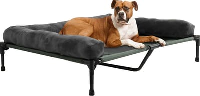 Bolt Edge Hondenmand op poten - XXL - Orthopedisch hondenbed - 110x80cm