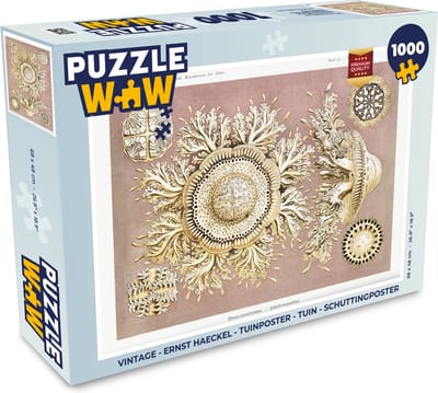 Puzzel Vintage - Ernst Haeckel - Kwal - Kunst - Legpuzzel - Puzzel 1000 stukjes volwassenen