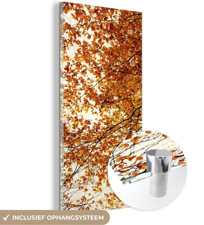 MuchoWow® Glasschilderij 20x40 cm - Schilderij acrylglas - Boom - Herfstbladeren - Seizoenen - Landelijk - Foto op glas - Schilderijen